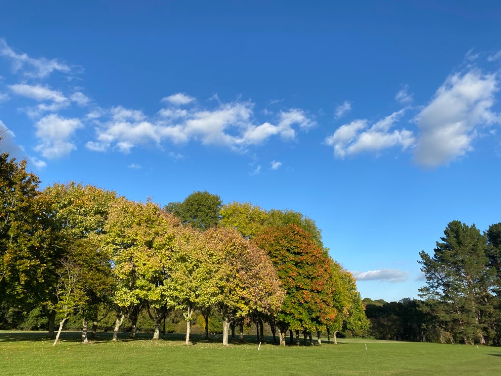 Autumn’s glorious colour, Mannings Heath golf club. Posted by baronvonuden