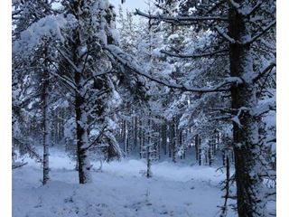 Cold week with disruptive snow in places