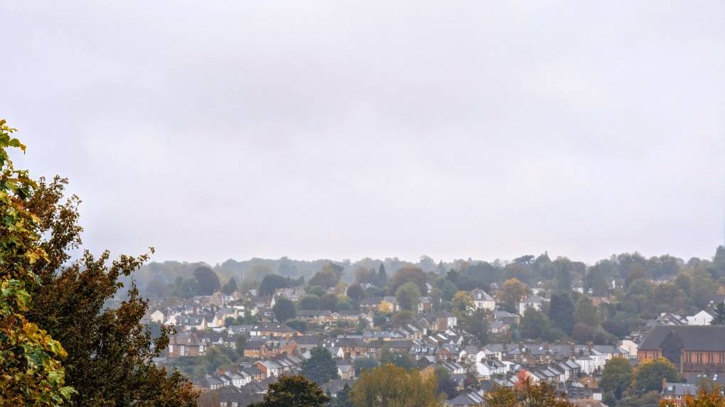 Autumn colours visible on a gloomy October afternoon. Posted by Brian Gaze