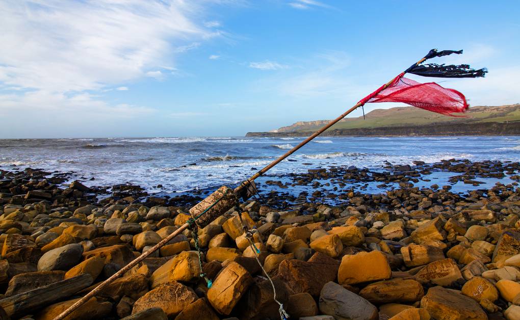 Longline Marker Buoy After Storm. Posted by JurassicCoast