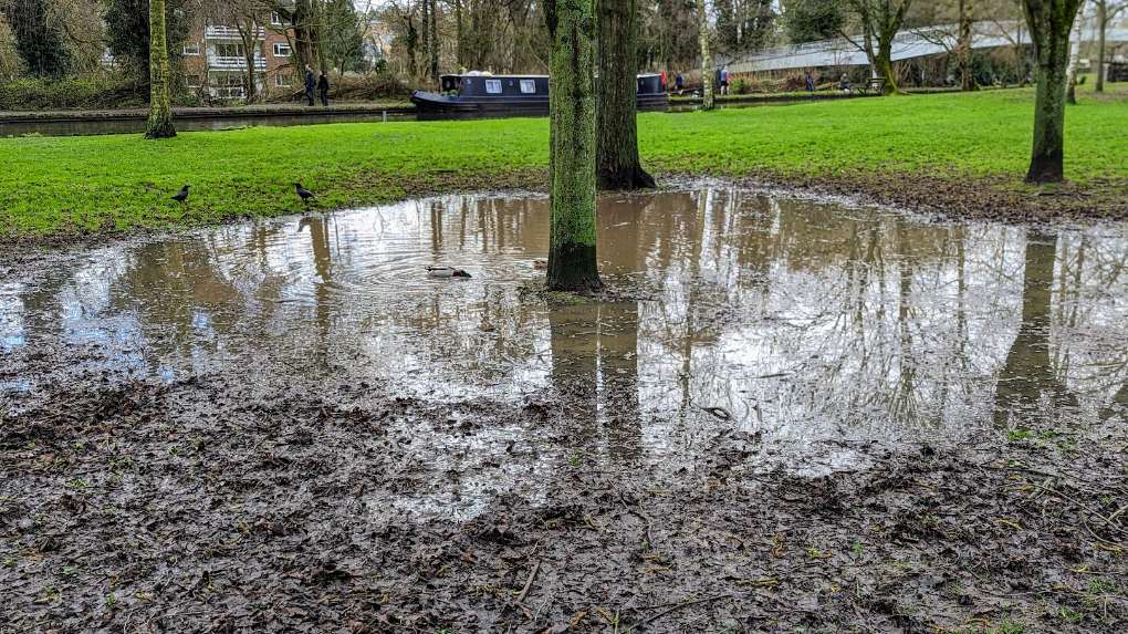 A new pond. Posted by Brian Gaze