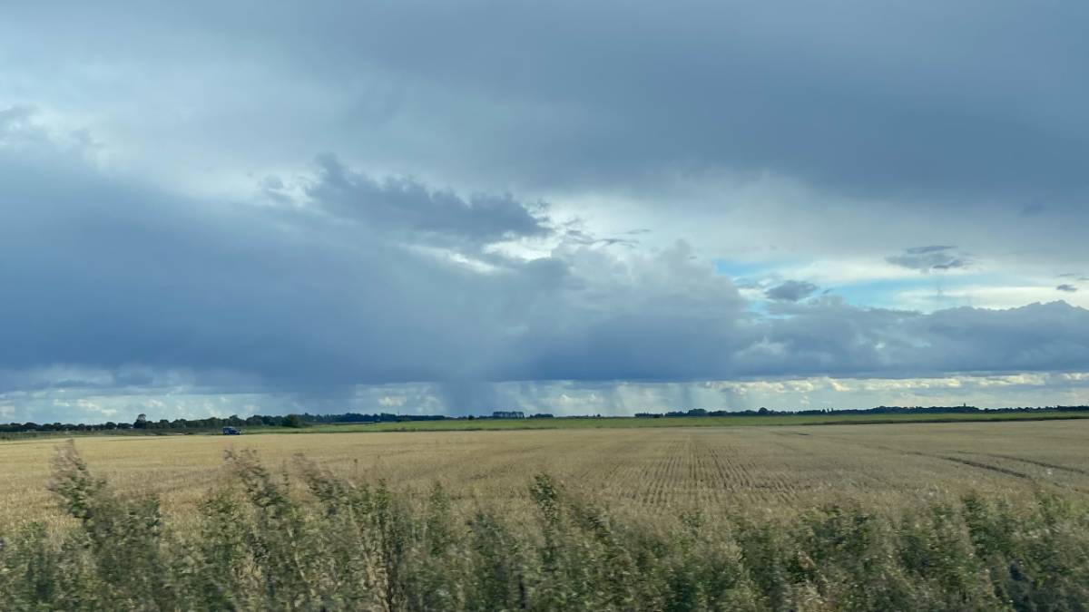 Showers incoming. Posted by Windy Willow