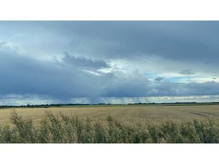 Cool and blustery with scattered showers