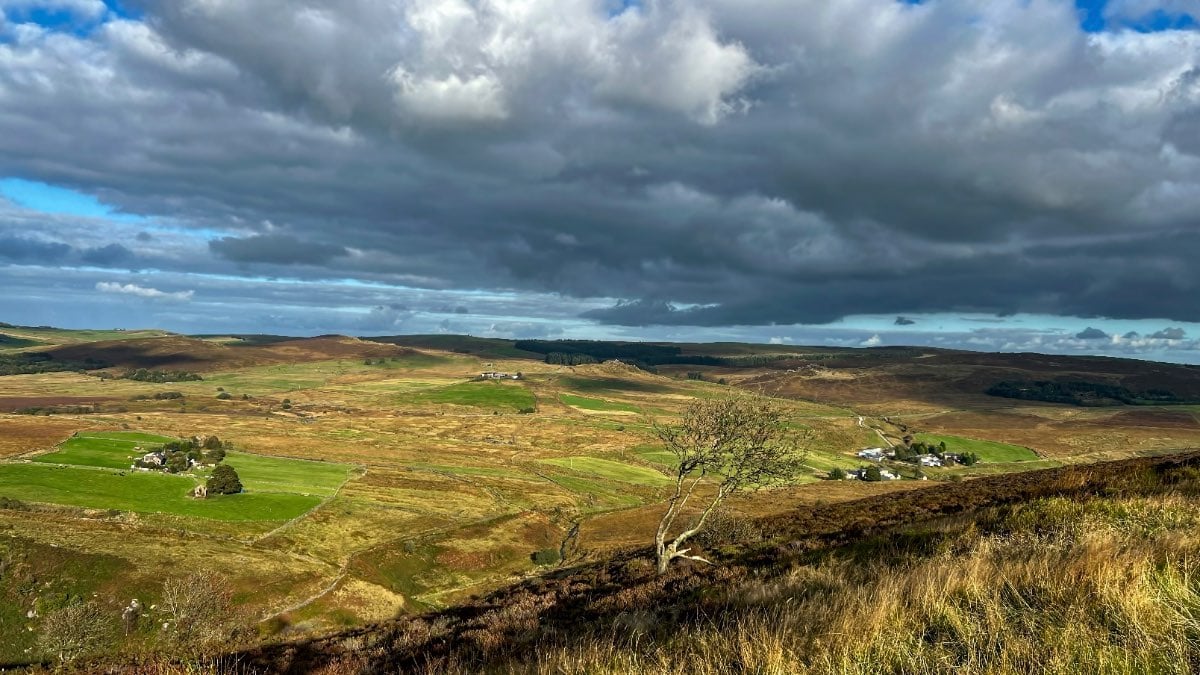 First time the sun has been out for days, lovely afternoon on the staffordshire moorlands.