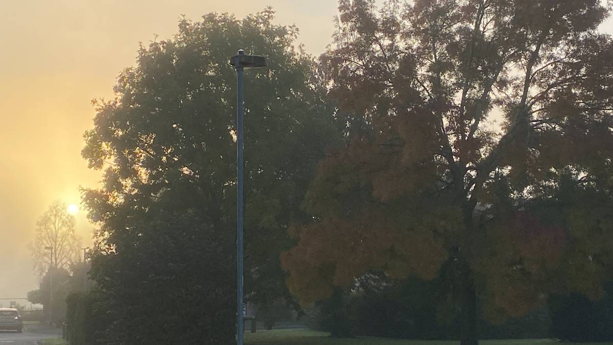 Autumn mist, just after sunrise. Posted by Windy Willow