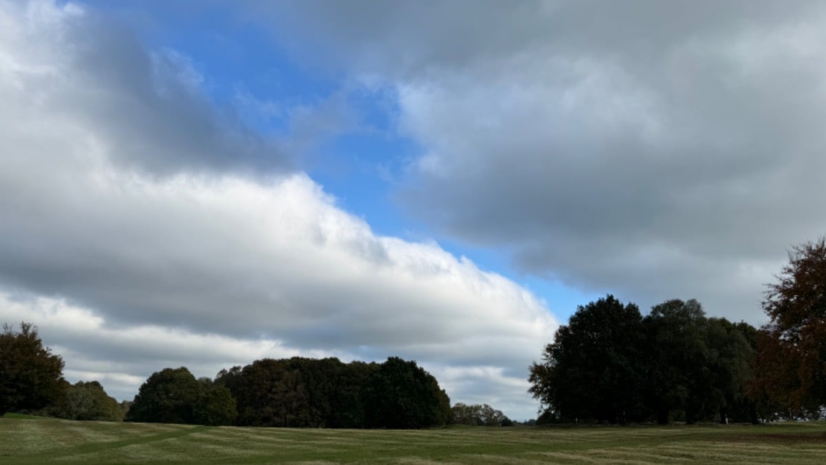 Perfectly pleasant at Cowdray Park, but well into autumn now. Posted by Weatherornot