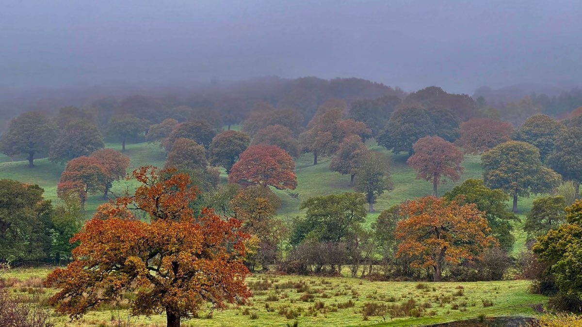 Last weeks gloomy weather ooks likely to return. Posted by toppiker60