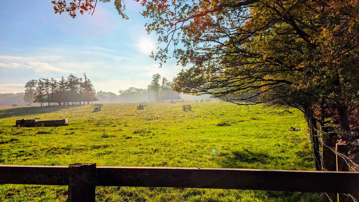 Stunning late October weather in the Chilterns. Posted by Brian Gaze