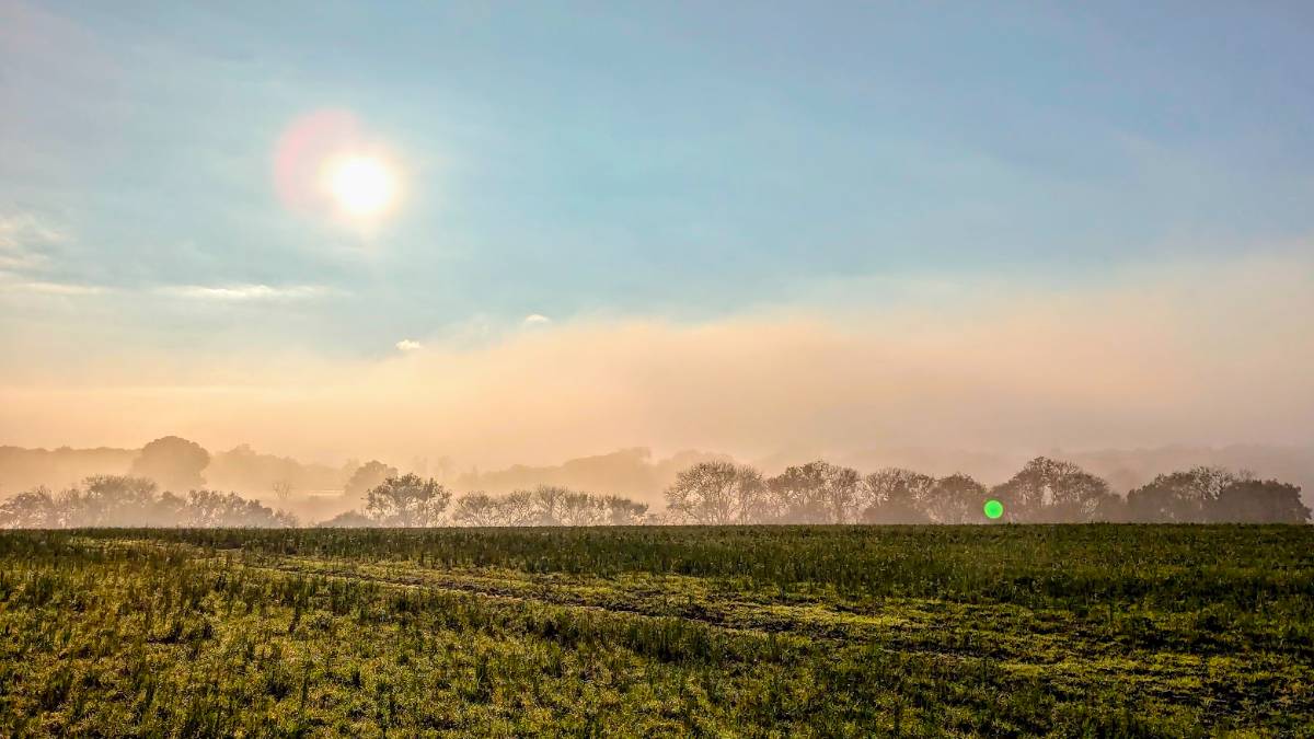 The mist starts to descend on Halloween. Posted by Brian Gaze