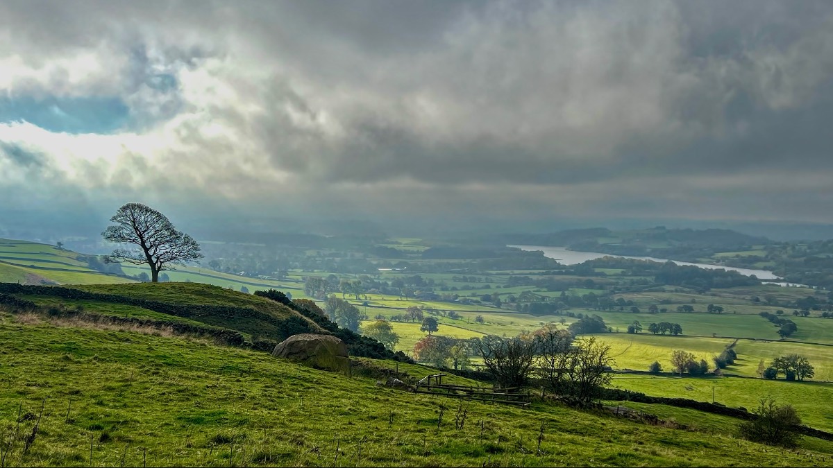 Sunshine in short supply this week. Posted by toppiker60