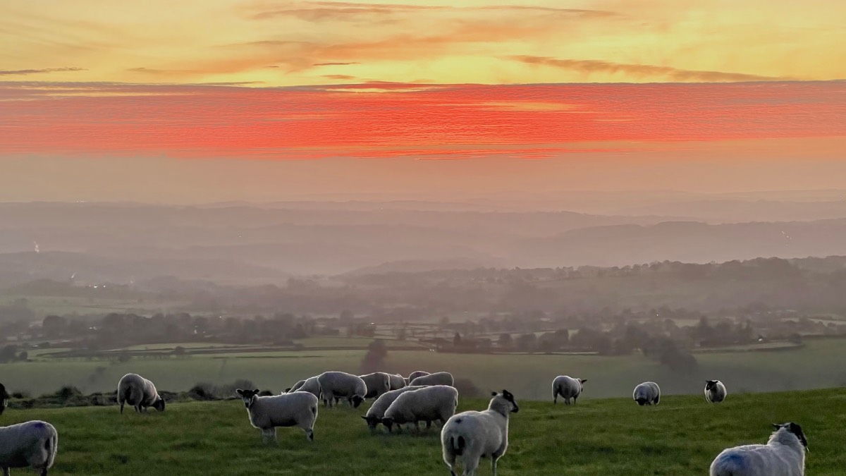 Sunny evening