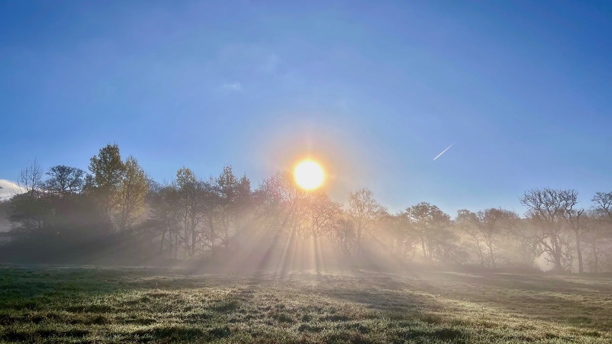 Nice and sunny start to the day, mist and fog along the river though. Posted by toppiker60