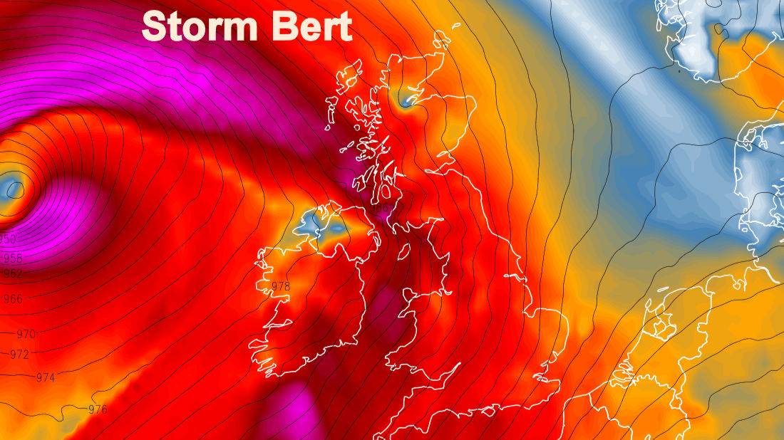 Storm Bert